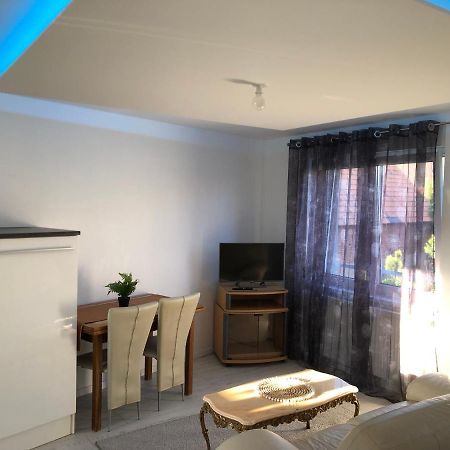 Appartement Willa Chez Willi Niederschaeffolsheim Εξωτερικό φωτογραφία